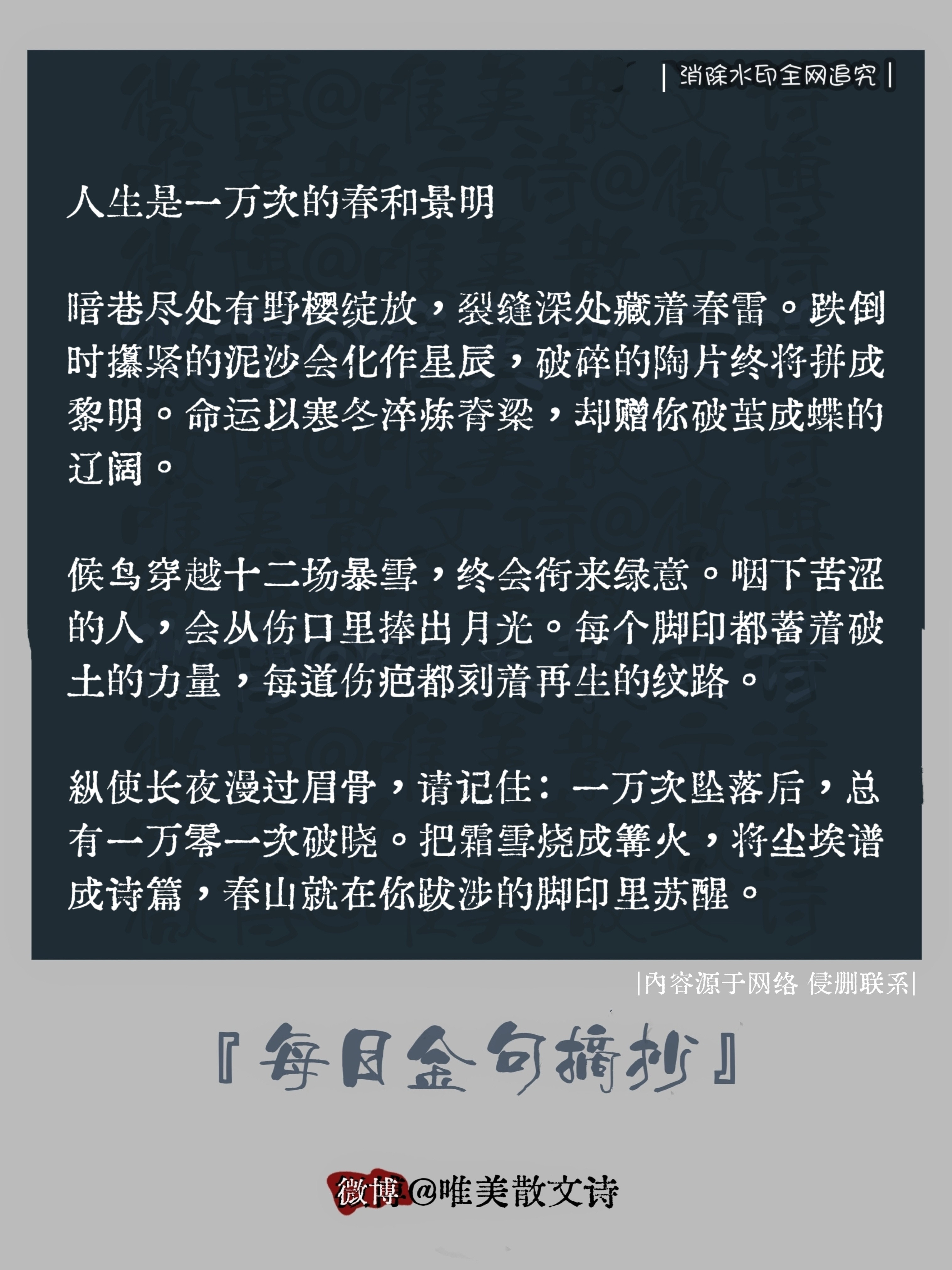 “人生是一万次的春和景明。”暗巷尽处有野樱绽放，裂缝深处藏着春雷。跌倒时攥紧的泥