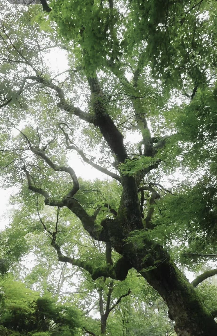 有个老师傅说得太对了：“家里但凡要动水管、碰电路、修家电，哪怕是换个水龙头、通个