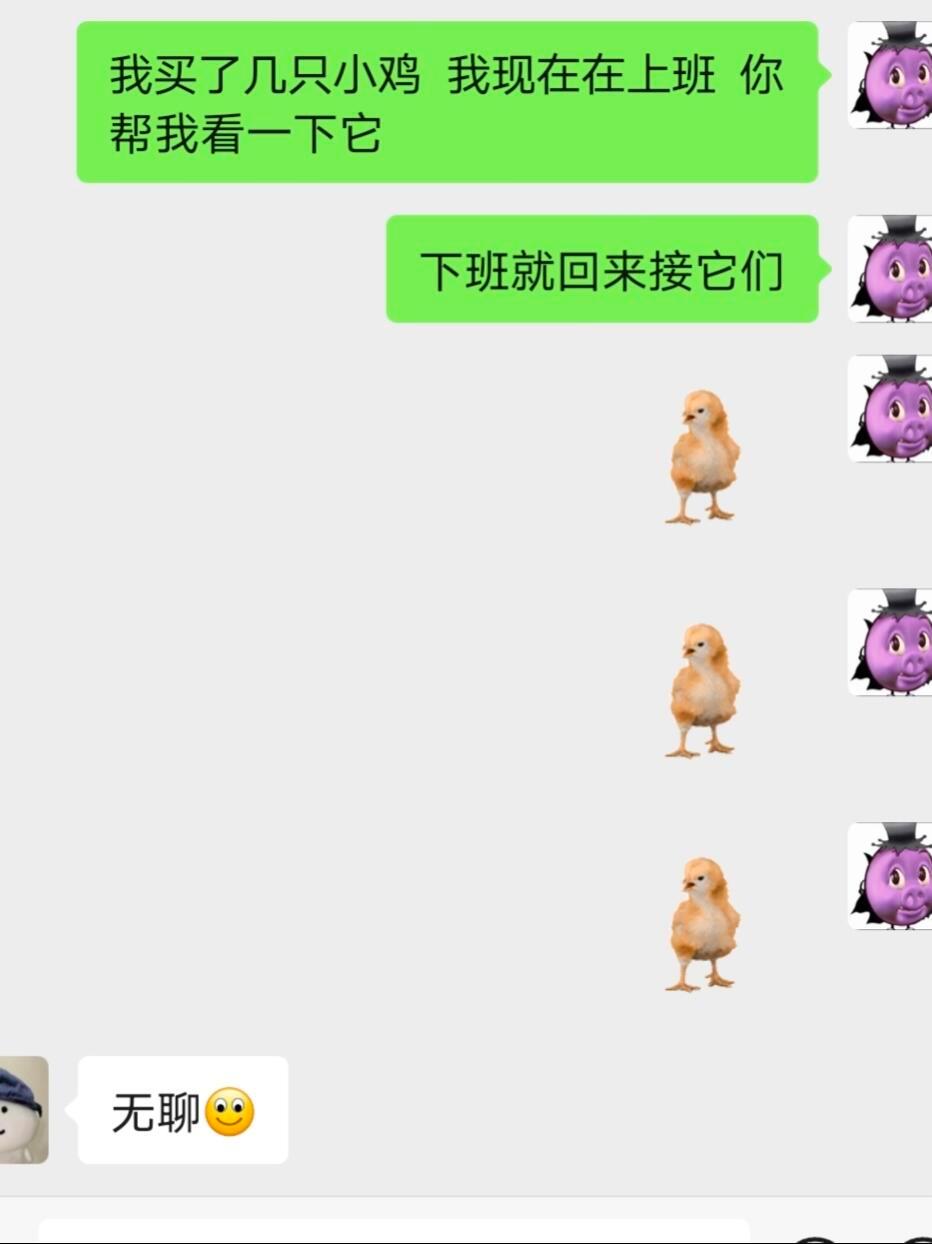 我的crush好像很会接梗[doge]​​​
