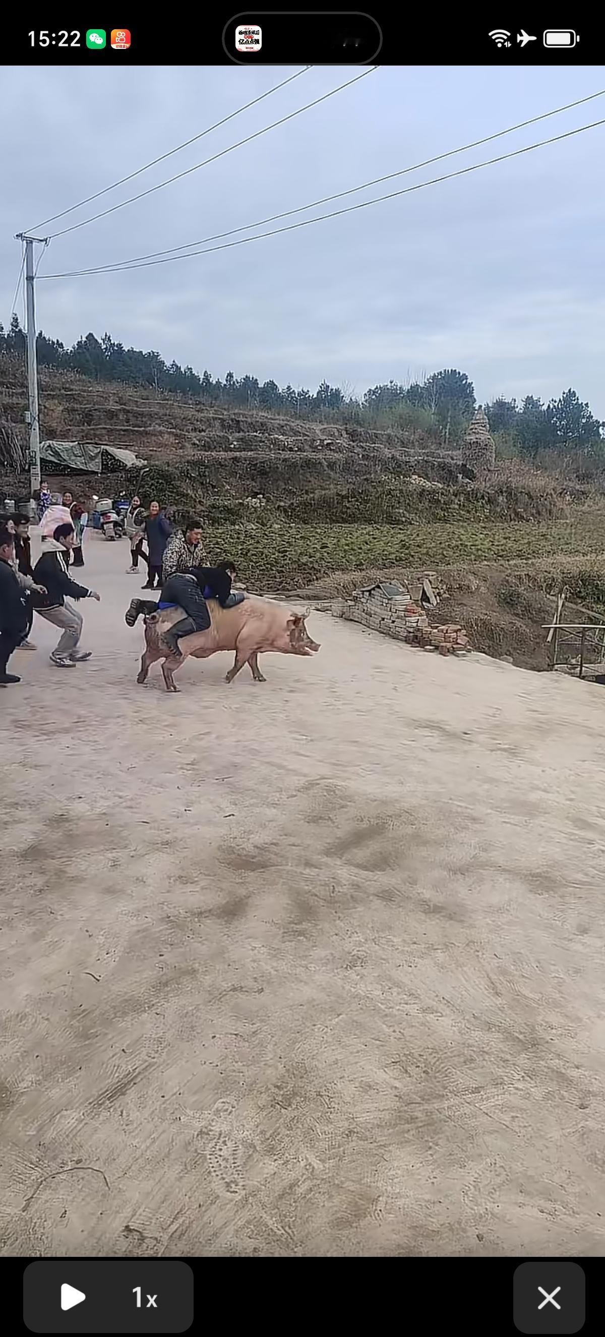 严重怀疑这些参加杀猪宴的小伙子一开始是看上了呆呆姑娘的美貌，想来一场说走就走的恋