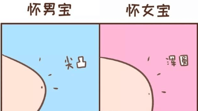 还在为宝宝性别发愁, 教你几招, 轻松判断孩子性别
