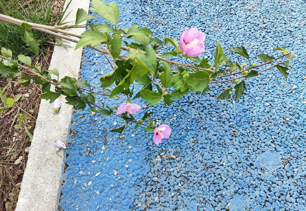 3号，小叔子一家终于露面了。早晨，老公起床做了早餐，吃饭时，他看了我几次。我知