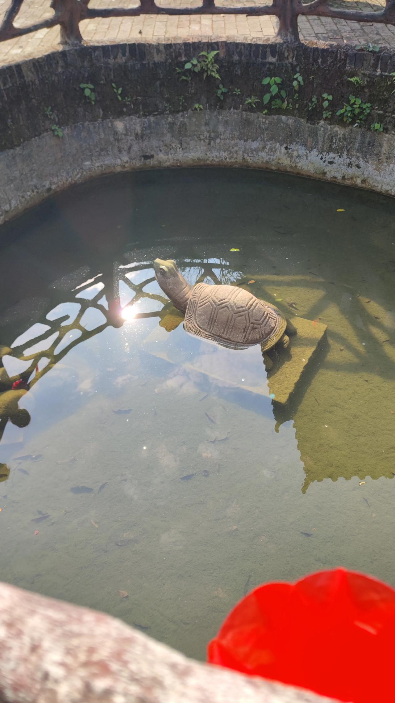 为何要闲来养鱼呢？老话说“山管人丁水管财”，这话还真有些意味。在家里置上一缸活水