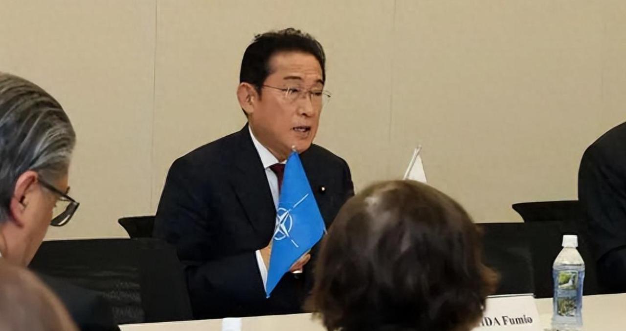 4月16日，东京的下午不安静，三十个北约国家的大使和高官齐聚日本国会大厦，