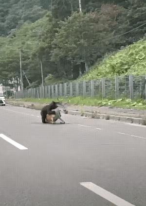 不要全部都拿走，能不能留个两斤给我，我也想尝尝……[捂脸哭][捂脸哭][捂脸哭]