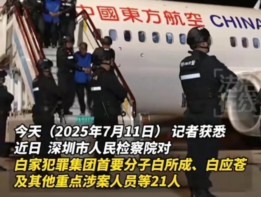 快讯！6名中国公民死亡，涉诈案3.1万起，盘踞缅北的“四大家族”遭毁灭性打击，白