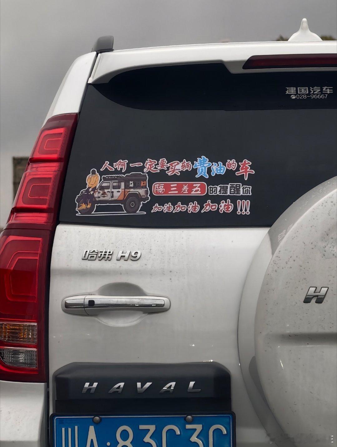 好的，你俩说的我都听到了我的日常plog