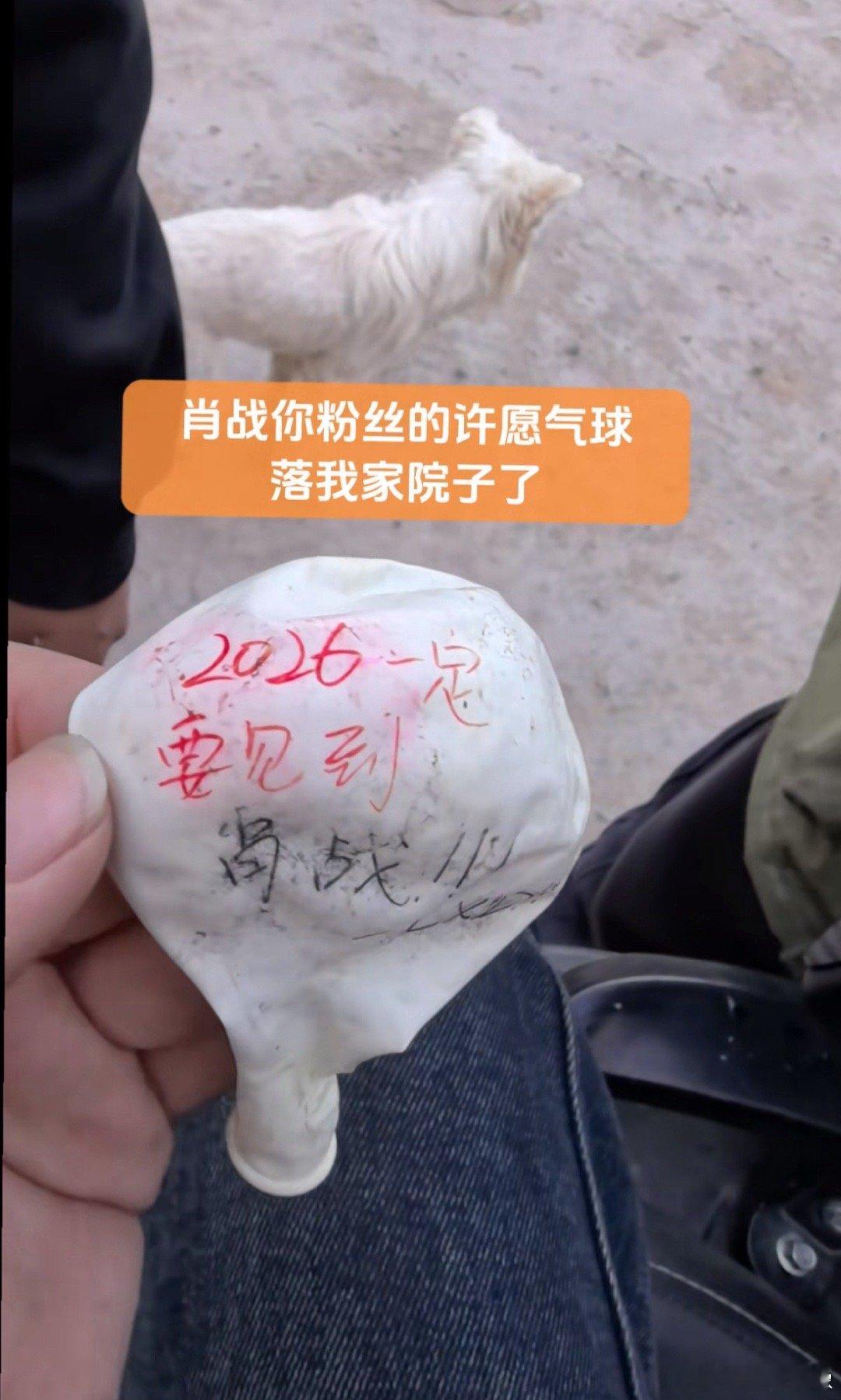 虾一直就是这么朴实无华。。。有网友在自家院子捡到了个许愿气球。。