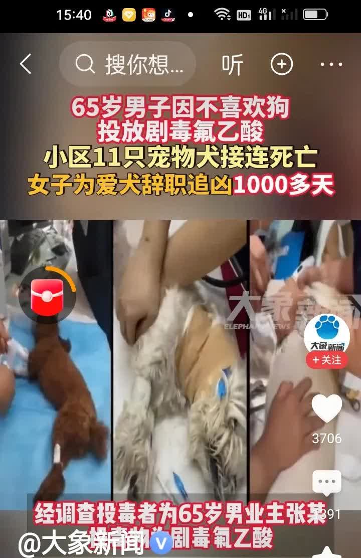 65岁男子在小区投放剧毒氟乙酸，导致11只宠物犬和数只流浪猫死亡。其中一只13岁