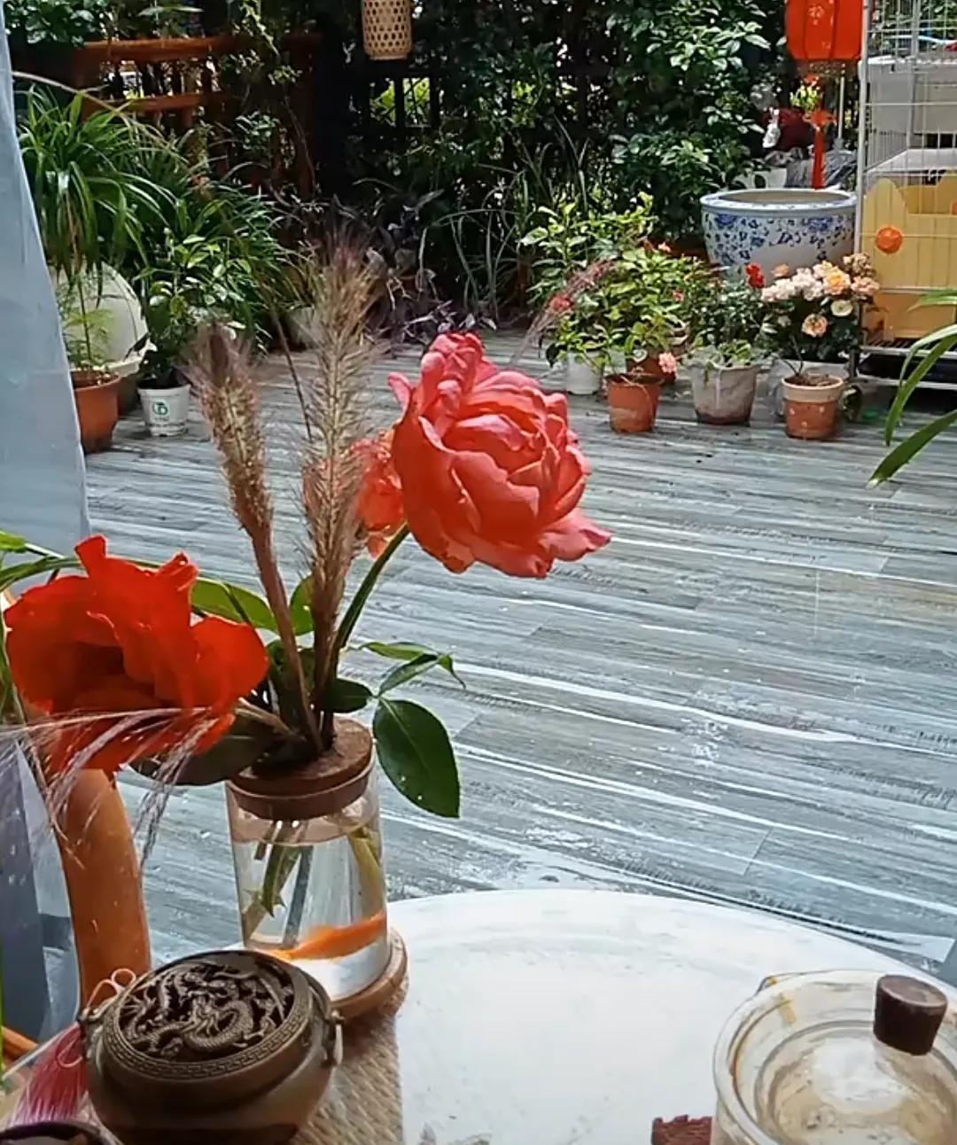 对于直播间总是有人带节奏，说主播之间的事情！柴桑大姐说：我了解谁啊？我不管你