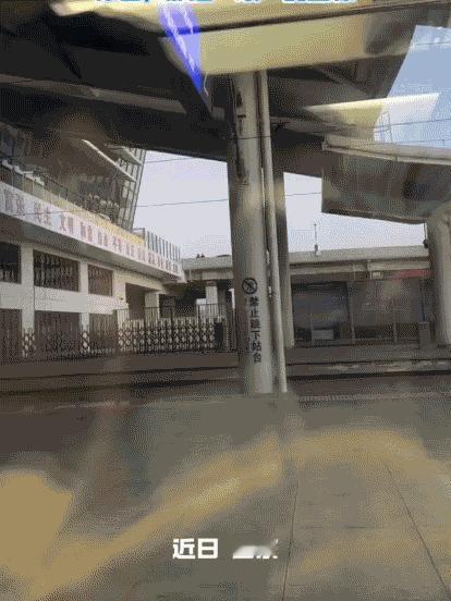 “这不得上人民日报！”山东青岛，跨省求学的女生乘高铁返校，父母本说检票后就回家，