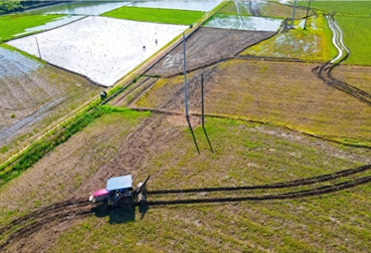 中美印耕地面积对比：美国25亿亩，印度24亿亩，中国多少亩？美国，它的耕地堪