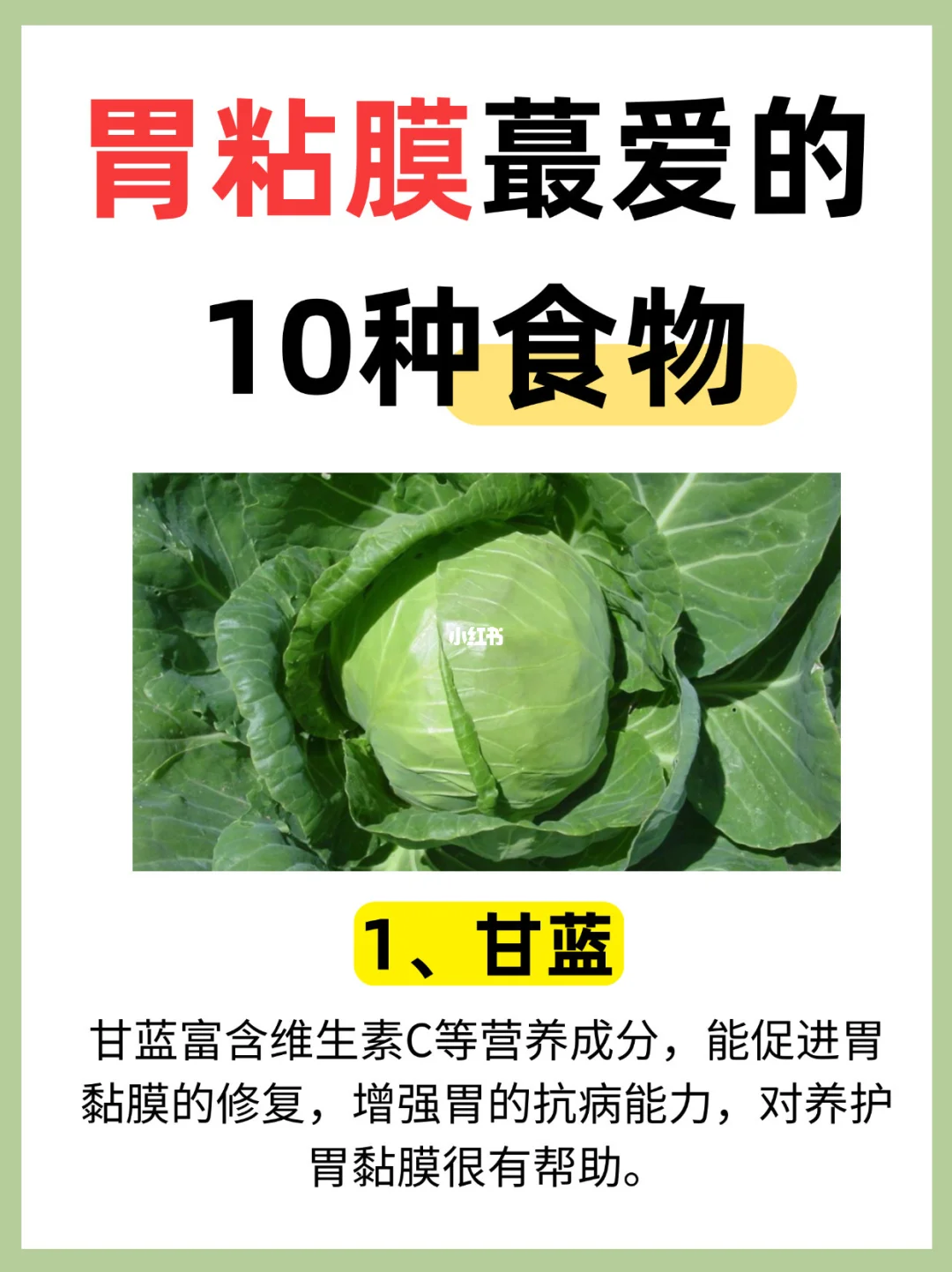 🔥胃黏膜最爱的10种食物✨换着吃胃更舒服!