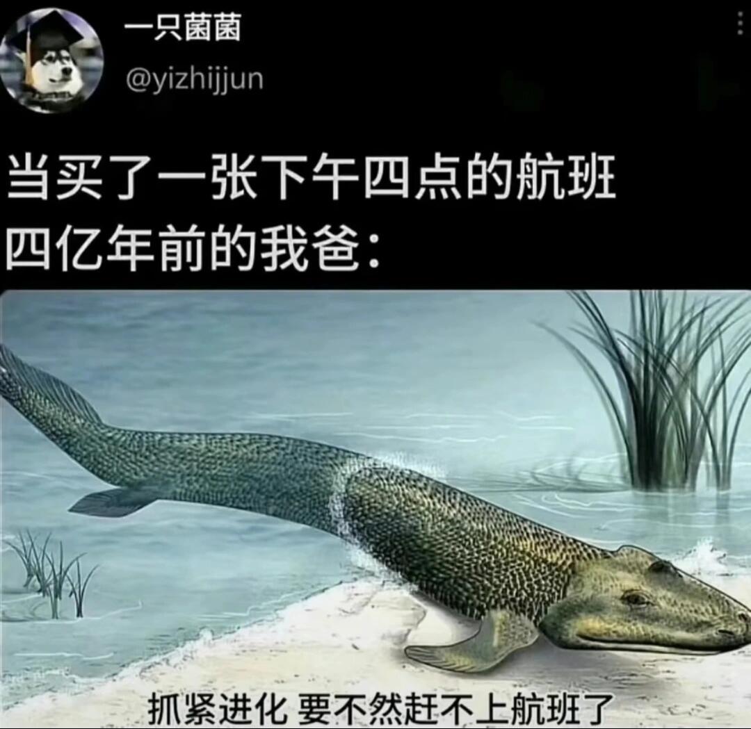 为啥爸妈都喜欢提前啊