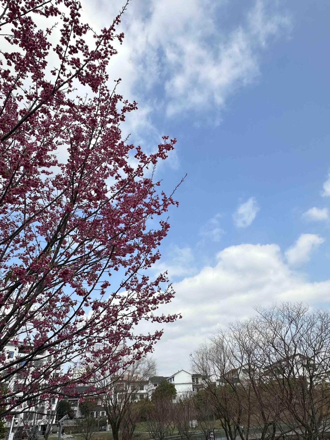 一位女性滴滴司机师傅的故事：她对照顾生活不能自理老人出门的艰辛感同身受。周一