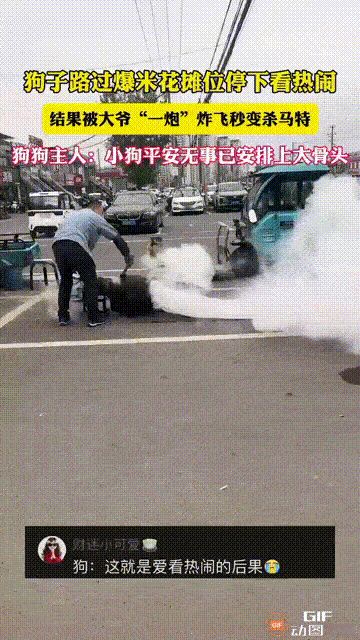 安徽一位大爷在路边制作爆米花时，一只小狗突然慢悠悠地走过来，并好奇地停留在后面观