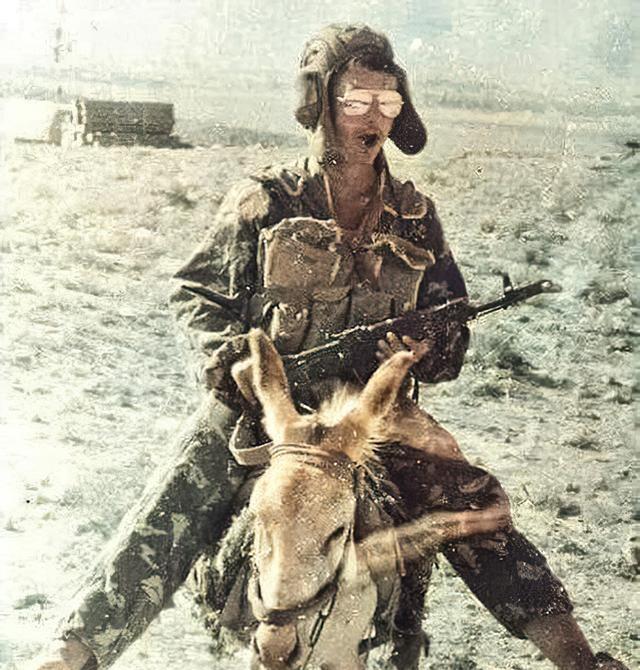 1983年，美国买了新疆几千头骡子，又买了10亿美元的中国武器。这些骡子沿着唐僧