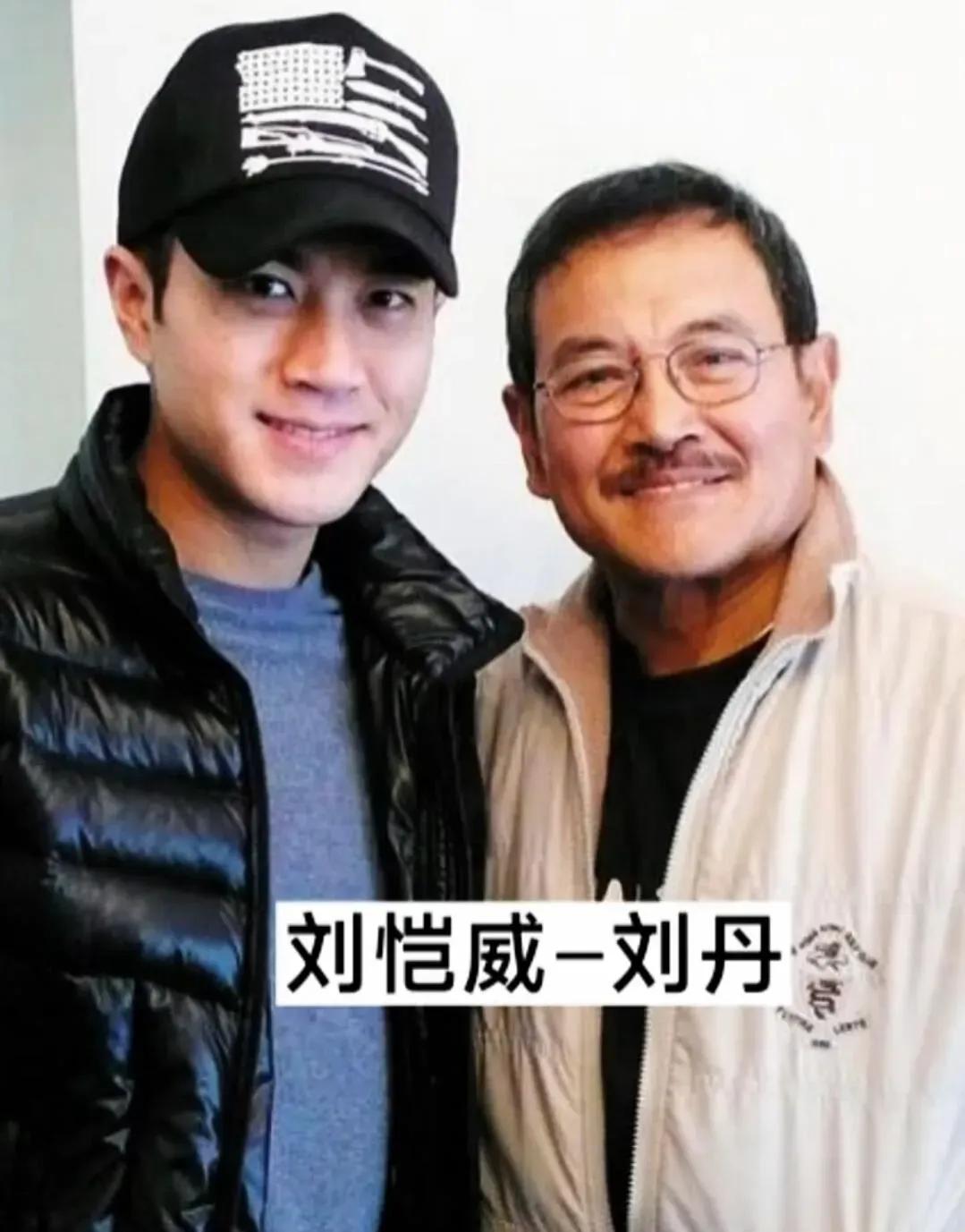 爸爸演技精彩，儿子英俊帅气，儿子也是一位出色的演员—刘恺威父子爸爸演技精彩，儿