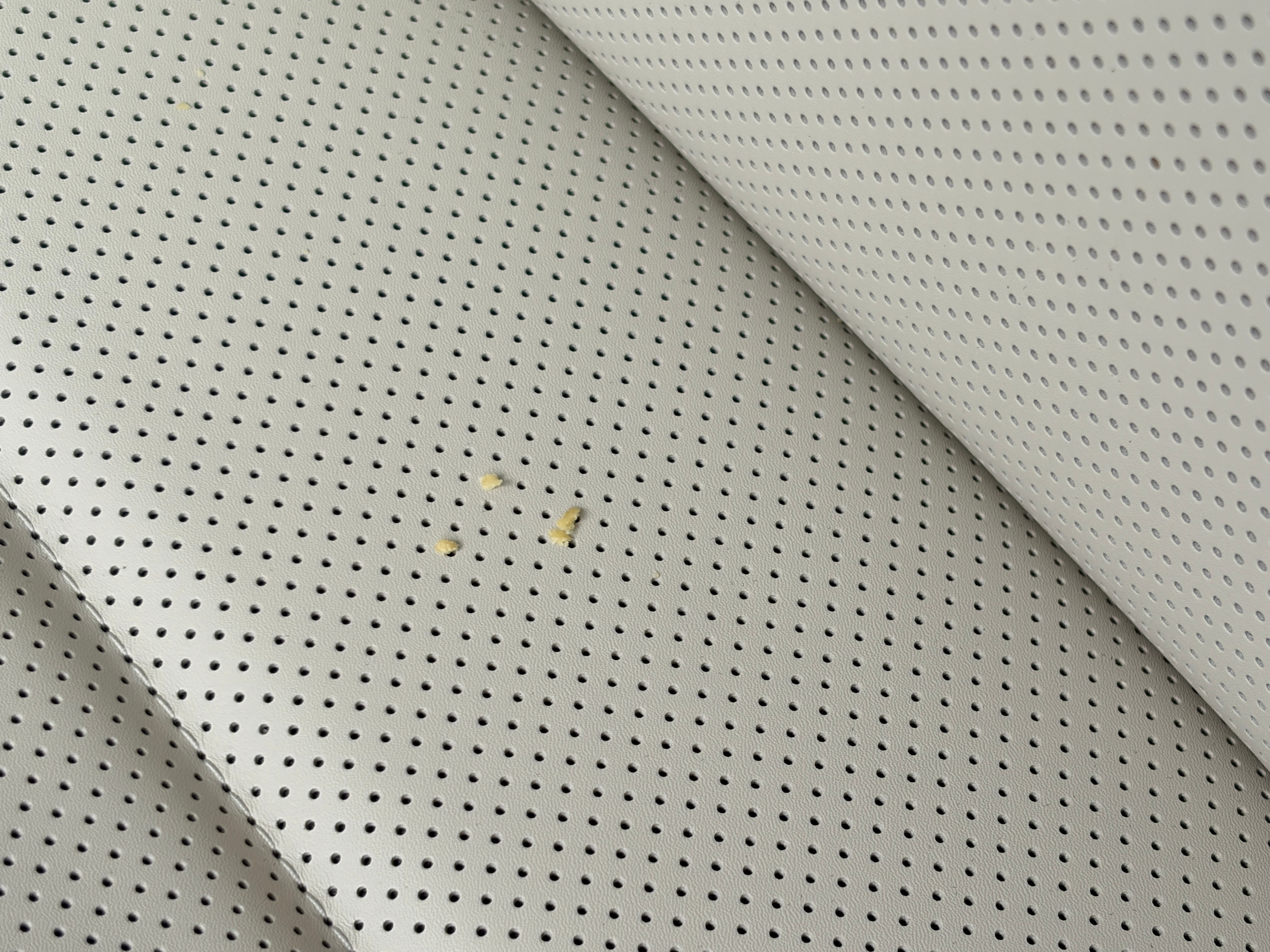 我几乎不怎么吼娃，除非他吃饼干把渣掉到我的MEGA座椅上理想MEGA