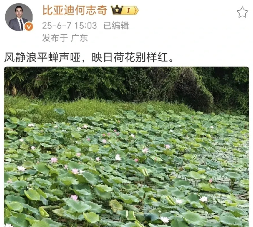比亚迪何志奇发微疑似隔空回应某车企高管言论车圈大战白热化，利利上蹿下跳，本来躲