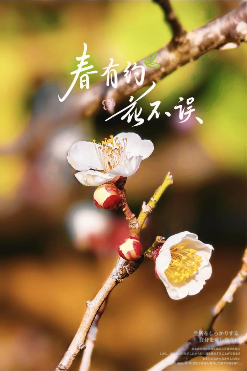 出句：花期不忘春风约；对句：柳色犹牵晓露情。联意赏析：[墨镜]‌此联为