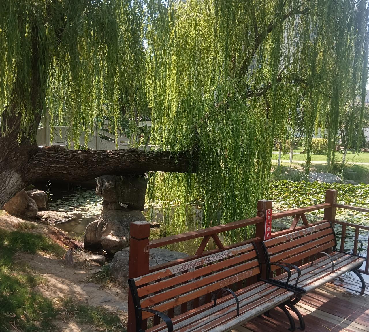 唉！有件事儿，我都不知道该咋说，反正心里特别不是滋味！6月份我孙女吃喜面，事后