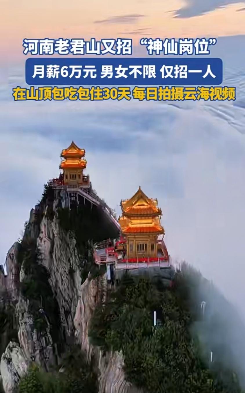 月薪六万，洛阳老君山招一名“云海观察员”。时间从7月16日至8月15日，要求住