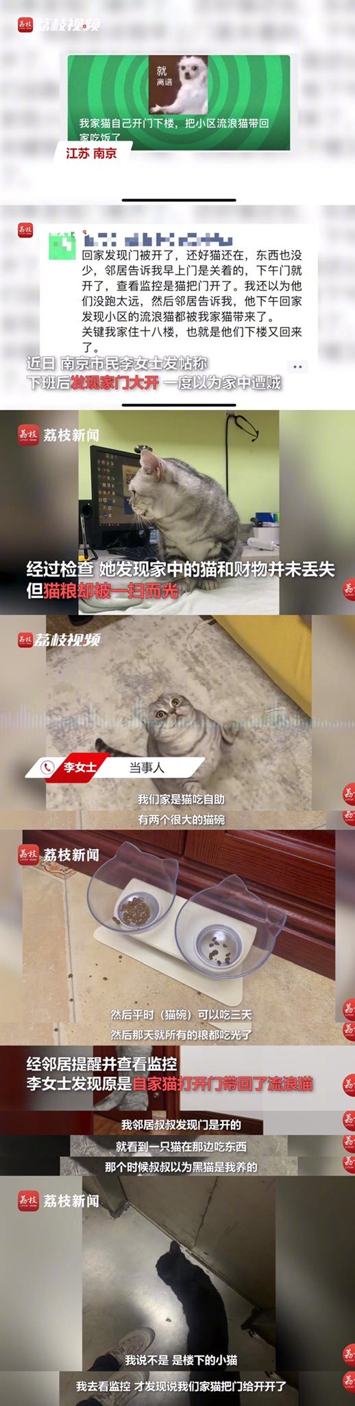 家住十八楼的好心猫猫本着“达则兼济天下”的精神，打开自家门下楼带流浪猫上楼进屋请