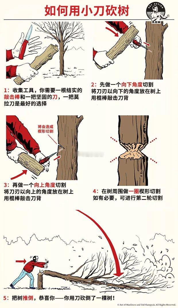 如何用小刀砍树