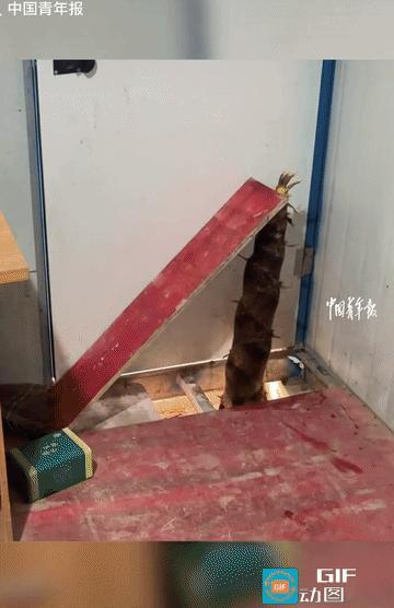 笑不活了！伤害性不大，侮辱性极强！安徽，一男子只是一个星期没有回家，回来后却发现