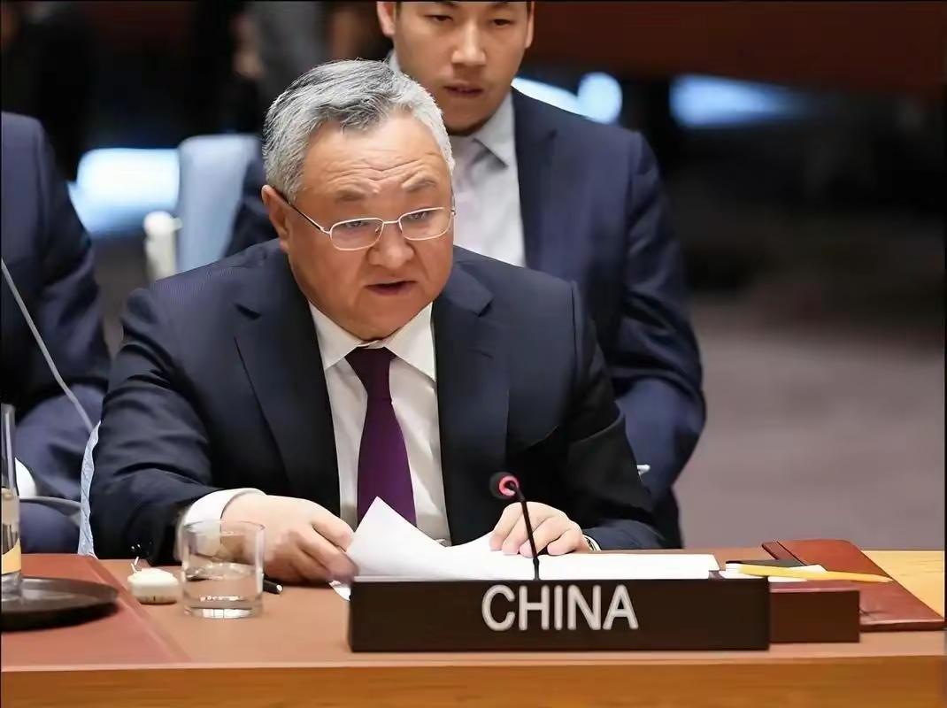 4月17日，中国动用否决权，否决草案，却引来新加坡公开跳脚，直言对此“非常失望”