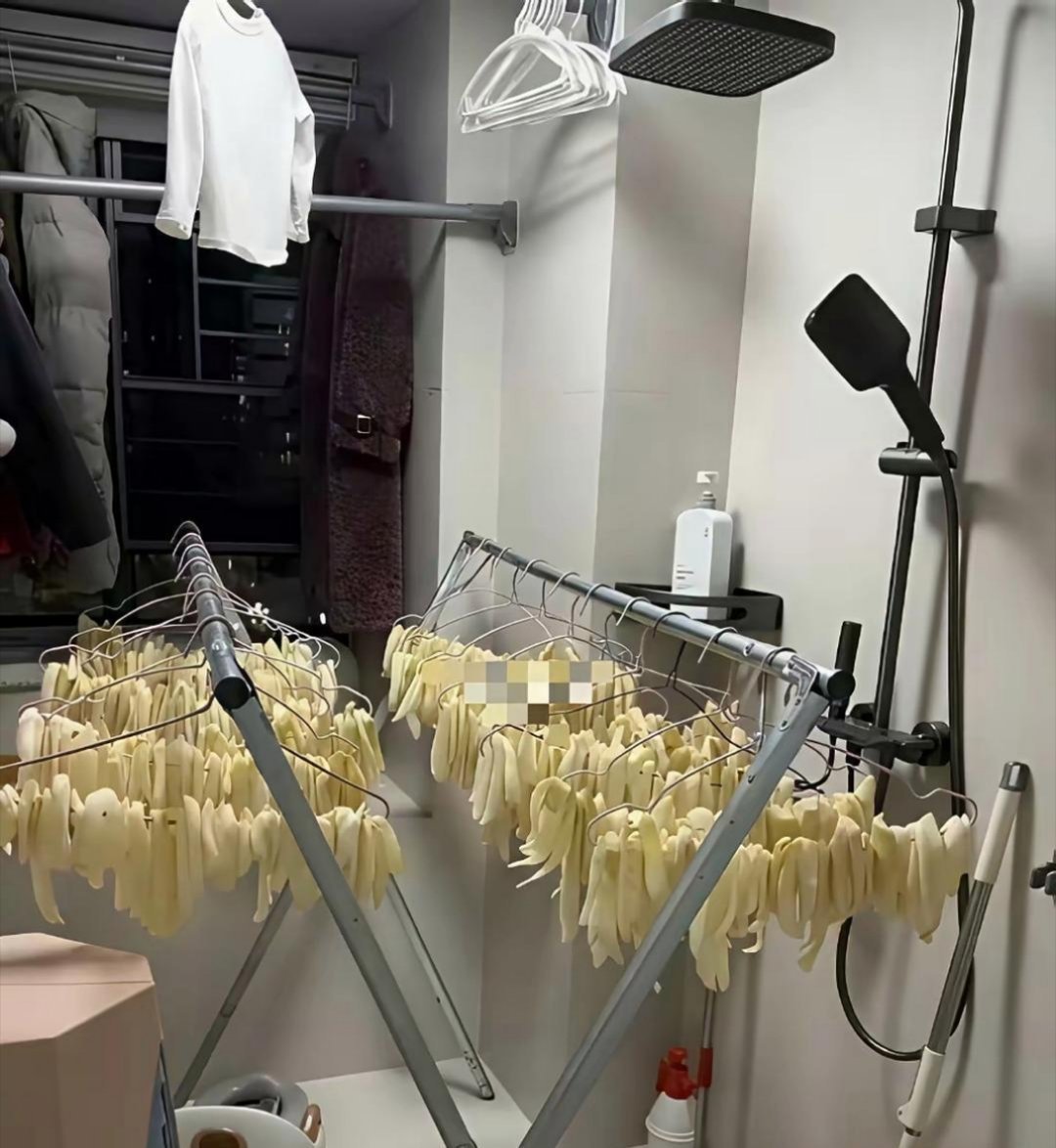 不敢想象这房间有多臭