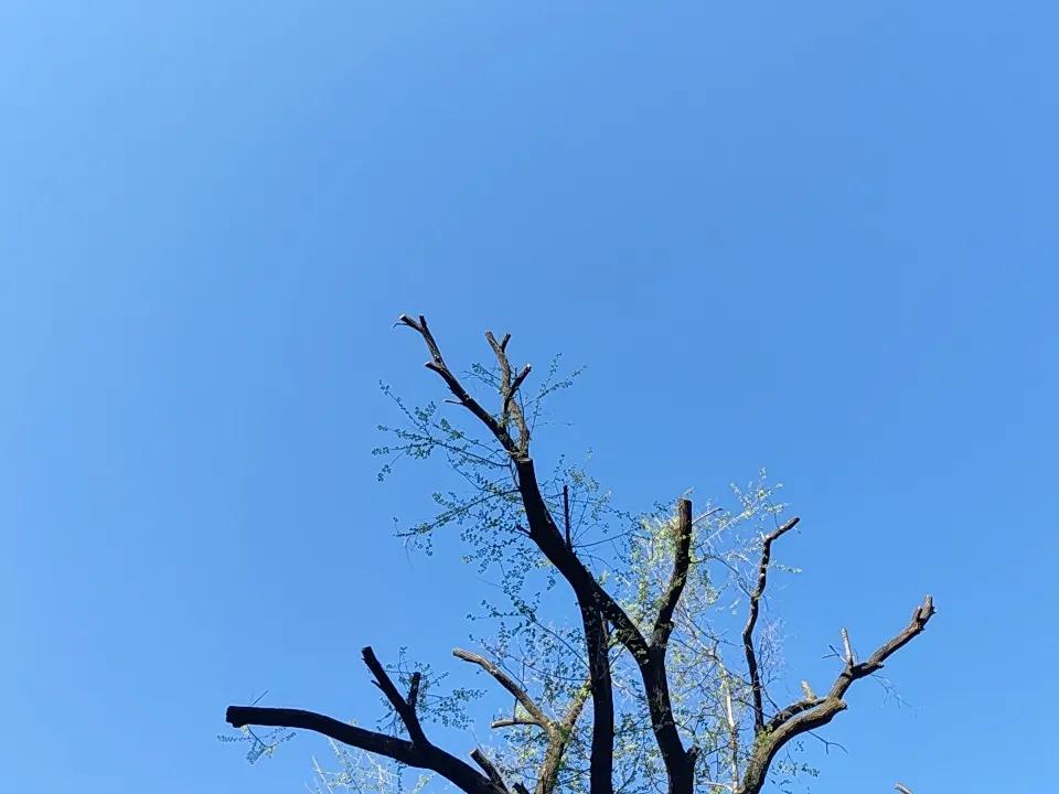 手机里最美的天空照片
