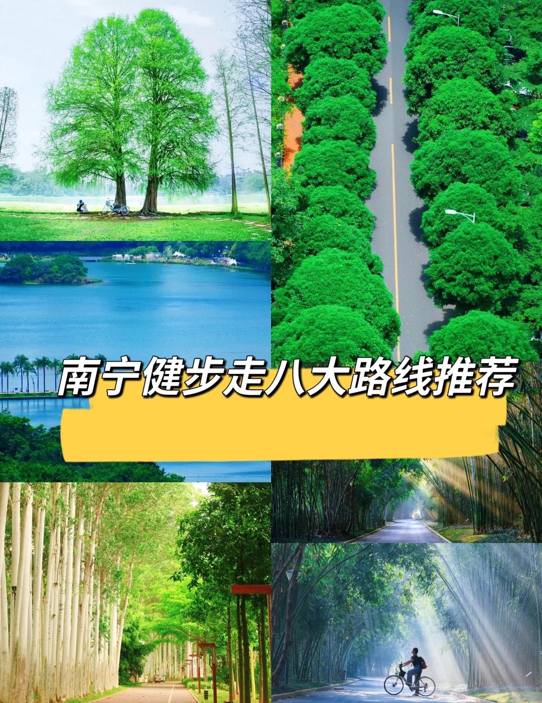 推荐南宁八条健步走路线！不开玩笑年后上班第一周与其在会议室大眼瞪小眼不如