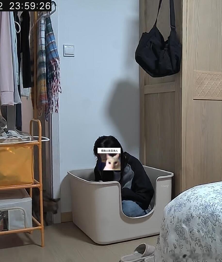 不看尺寸买猫砂盆=人砂盆​​​