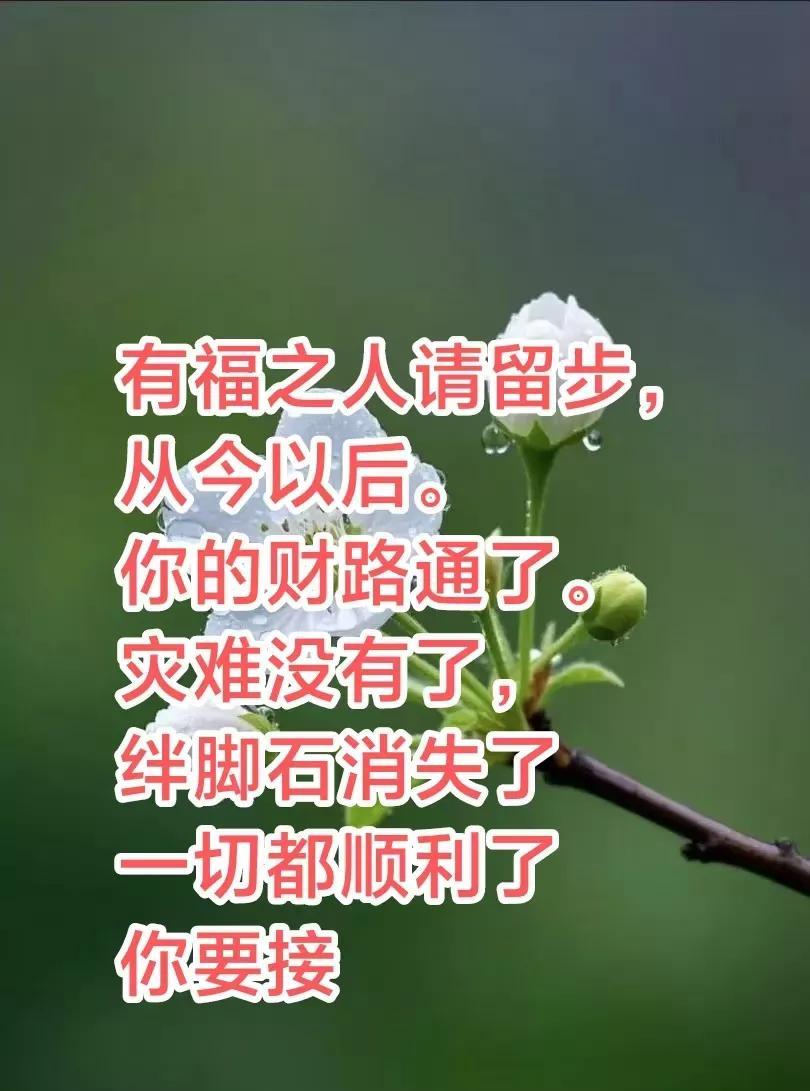 有福之人请留步，你的好运要来了，从今以后，你的路通了，灾难没有了，畔脚石消失了，