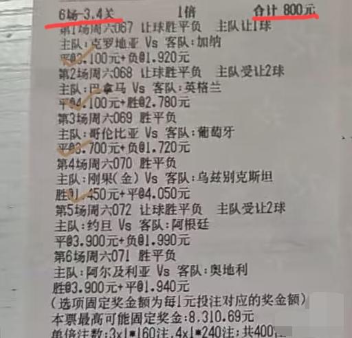 大家猜一猜这张彩票最后是赚了还是亏了？有球迷称这张彩票即使全中了，也赚不了多少