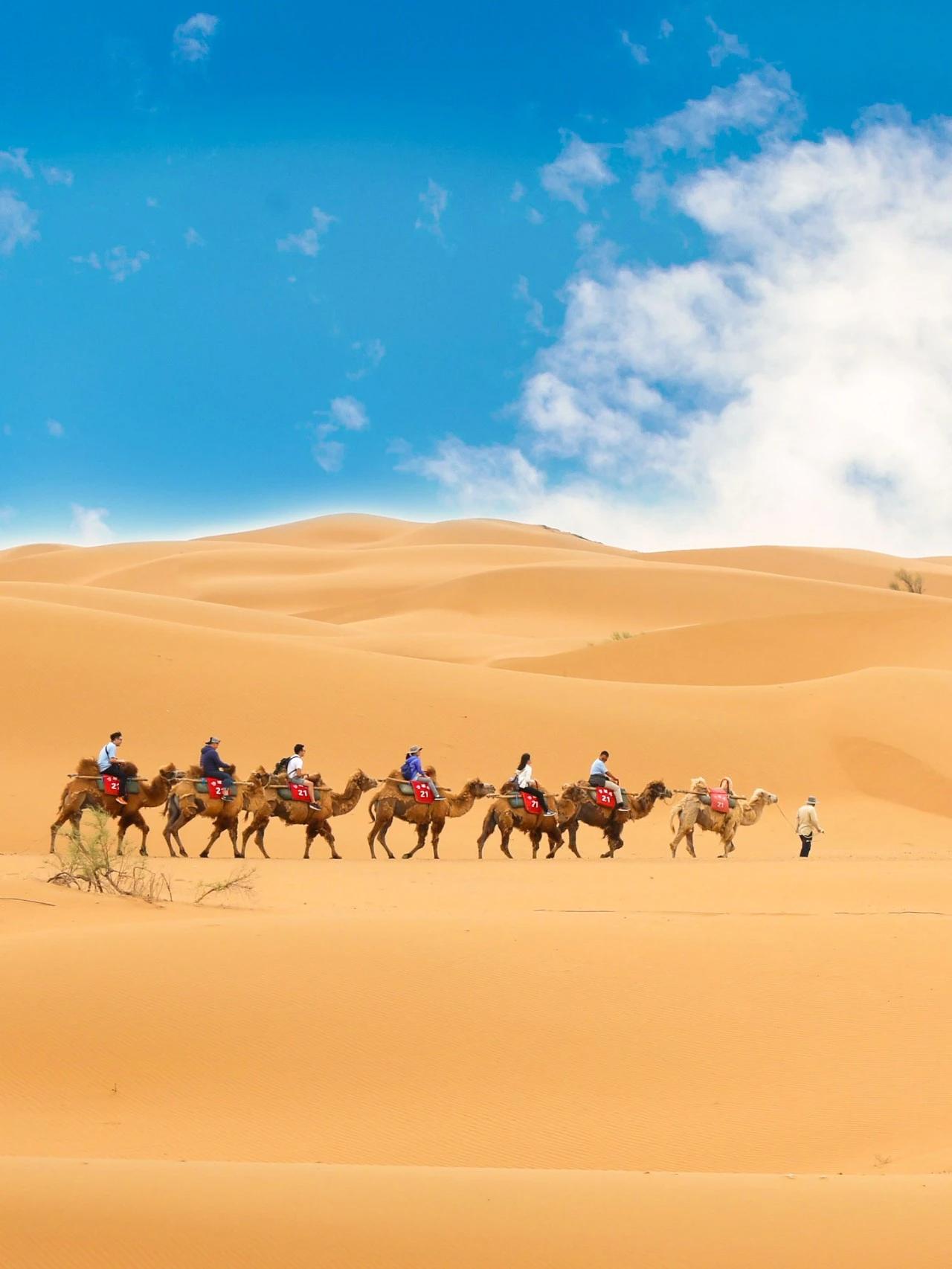 🏜️看遍了山川湖海的温柔，想感受一下心跳加速的刺激？目的地不能太普通也不能太拥