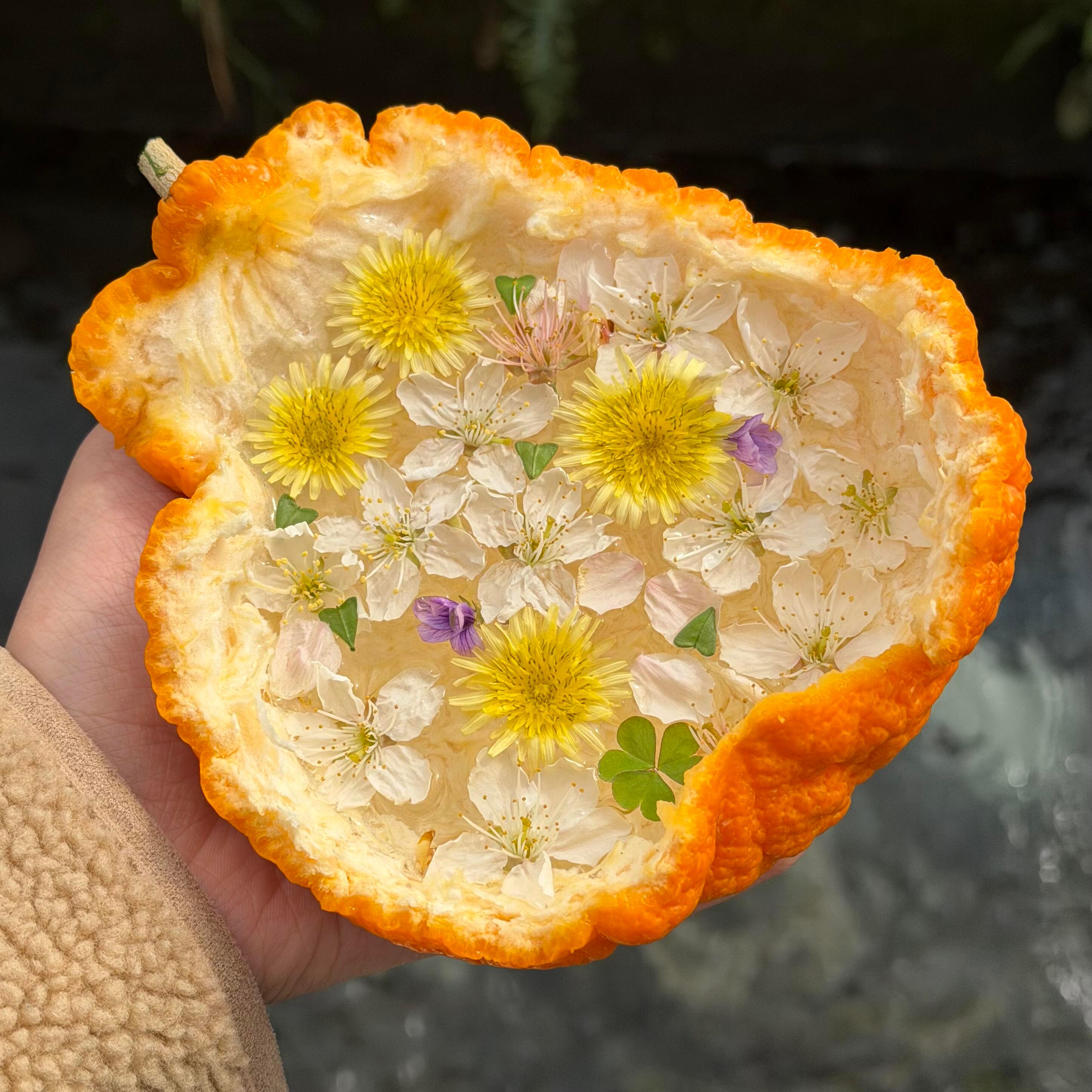 春夏就是花的季节