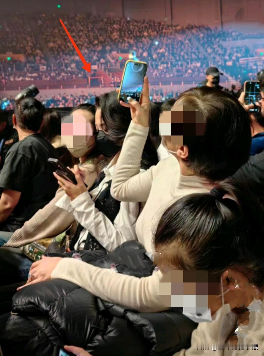 汪峰小女友森林北现身汪峰天津演唱会，森林北坐在座椅上安静的耍着手机，被人都兴高采