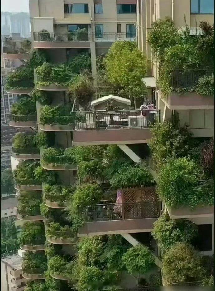 这是第四代住宅吗？感觉夏天好容易招小虫子[思考]​​​