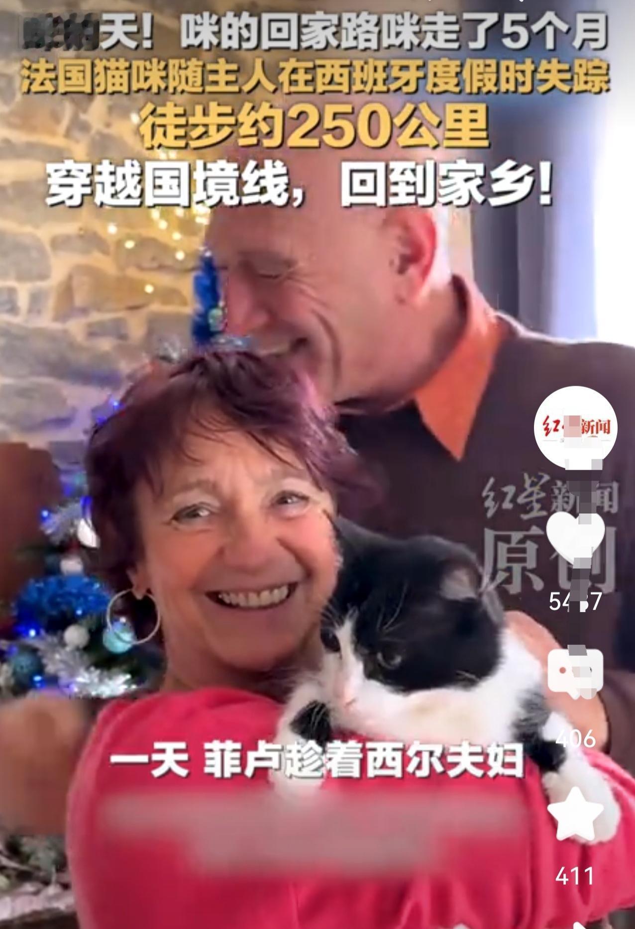 奇迹！猫咪在西班牙走失，独自穿越国境线，回到法国主人身边。近日有报道称，法国