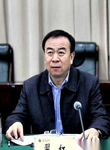 山西华阳集团的一把手，翟红，栽了。他手里过的项目，全是拿“亿”当单位的设备采购