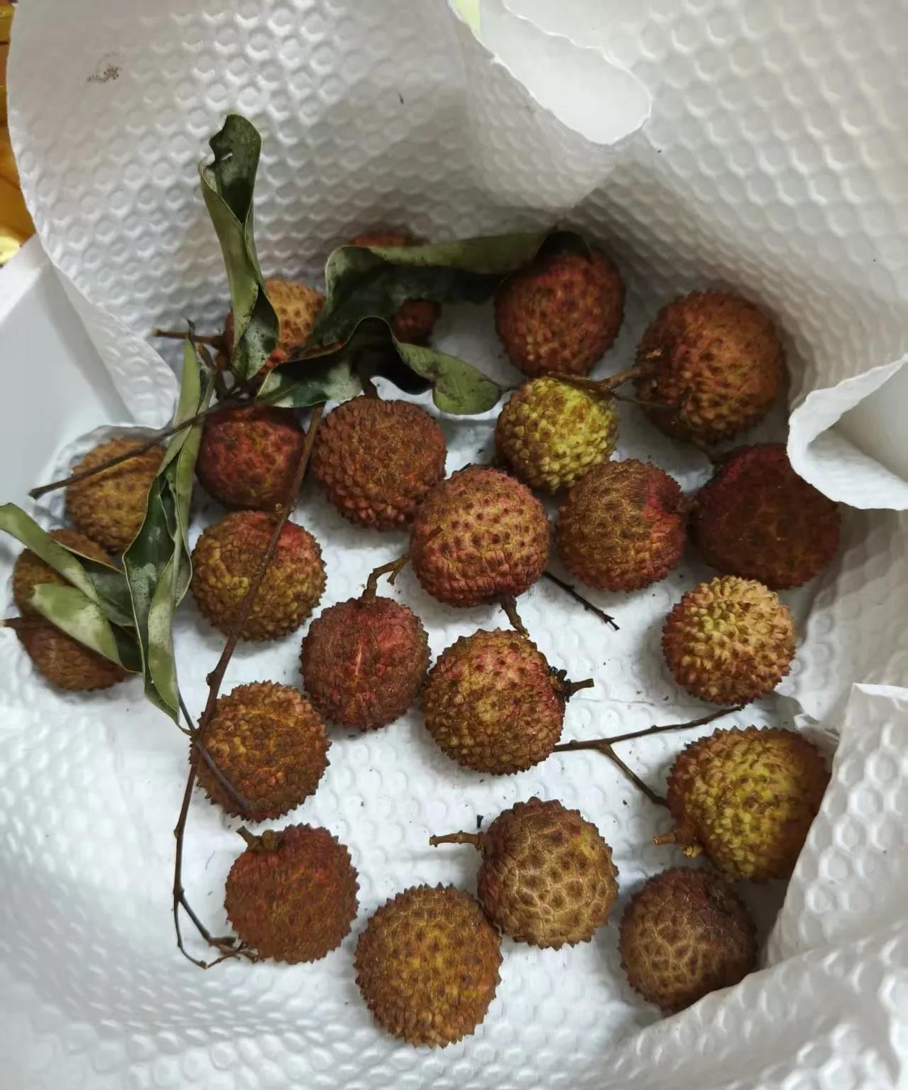 以前买荔枝，总是很讨厌怎么有那么多枝叶呢？我把荔枝一颗颗剪开，常温环境放第二天就