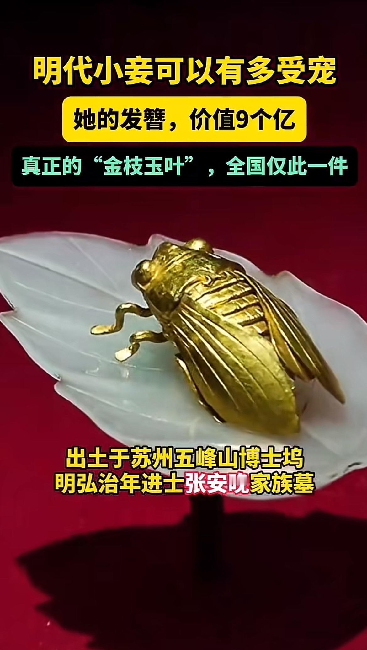 1954年冬天，江苏吴县五峰山水库工地炸出一座寒酸小墓，却出土了价值9亿的明代“