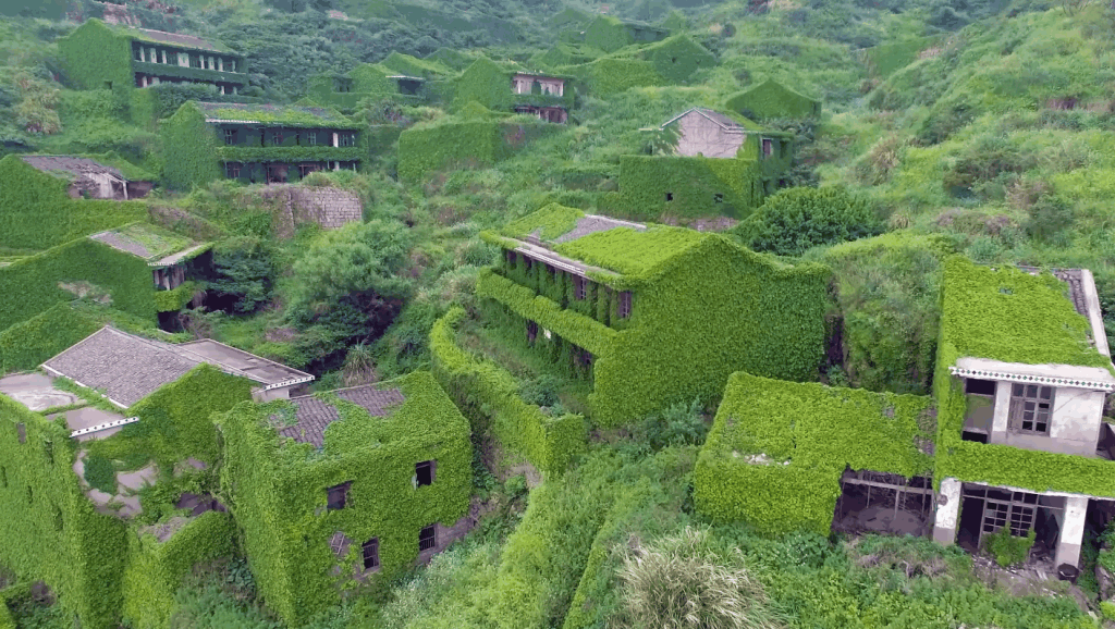 洋芋村游玩攻略,洋芋村游玩攻略大全