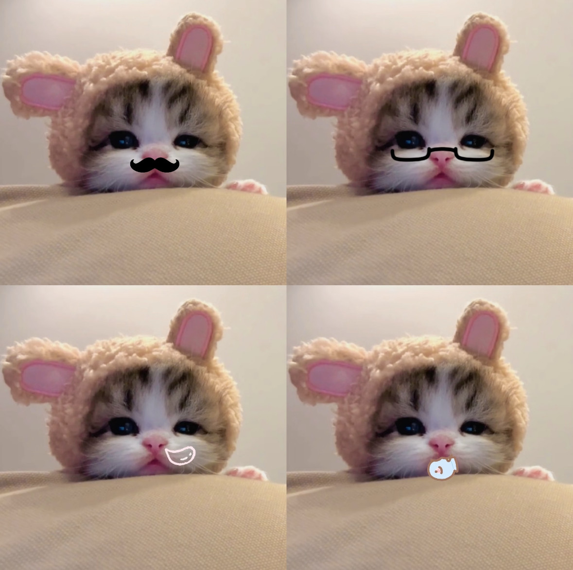 ՞˶･-･˶՞猫咪​​​