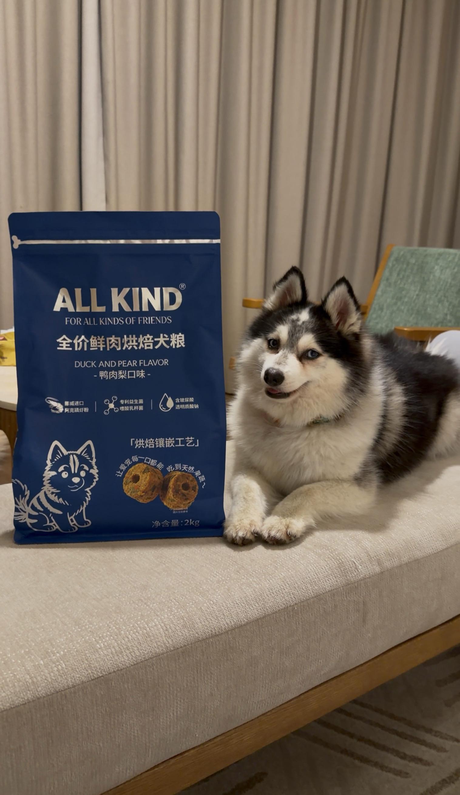 电瓶cei天生的抢镜头小狗😂。