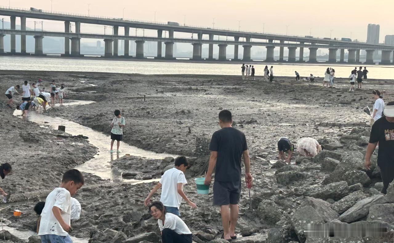 作为一个被网红攻略吸引来的游客，必须说句大实话：鼓浪屿的炒作实在太严重了！花