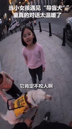 “这个小孩姐火到人民日报了！”小女孩遇见盲人带着导盲犬，脱口而出的一句童言，却让